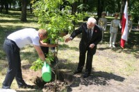 В Приднепровском парке посадили дуб в память о кременчужанине Брониславе Урбанском, жертве Катыни