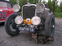 Ретро-автомобили со всего мира проедутся по Полтавщине