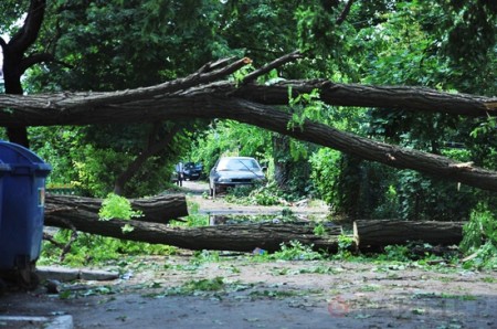 Последствия урагана в Одессе