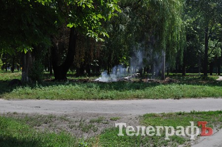 В парке Воинов-Интернационалистов в Кременчуге жгут листья, отравляя воздух (ФОТО)