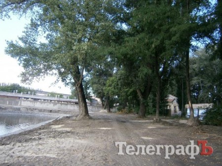 В Кременчуге в «Городском саду» возле озера снесут тополя, чтобы они весной не пушили
