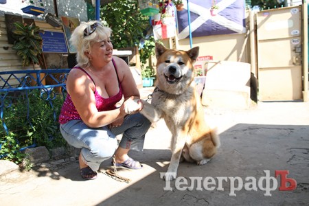 Собачий вихователь