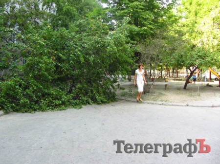 На ул.Мира в Кременчуге упавшее дерево третий день перегораживает дорогу