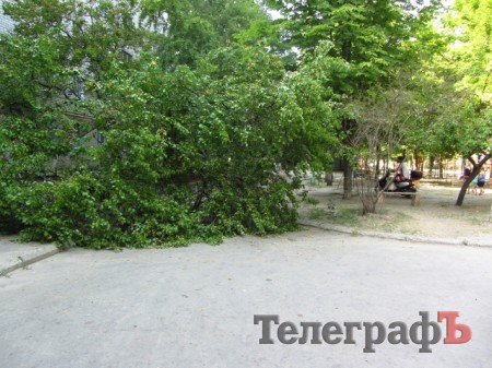 На ул.Мира в Кременчуге упавшее дерево третий день перегораживает дорогу