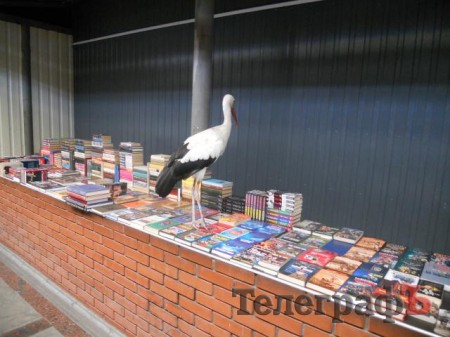 На центральном рынке Кременчуга поселился аист