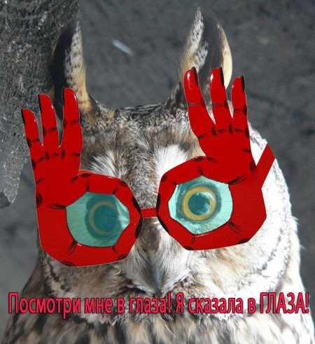 В Кременчуге жителям Раковки мешает спать неизвестная птица