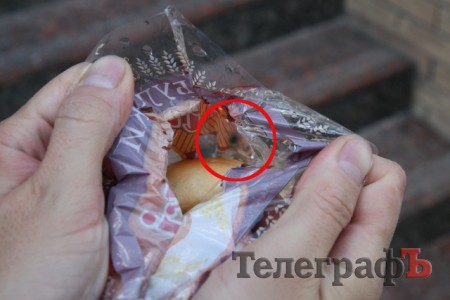The Fly Returns: Кременчужанин купил в супермаркете упаковку булочек с живой мухой