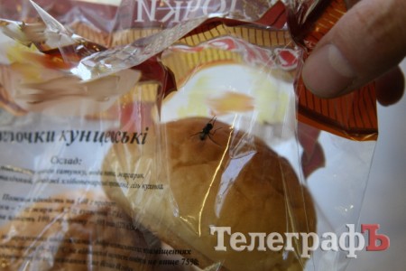 The Fly Returns: Кременчужанин купил в супермаркете упаковку булочек с живой мухой