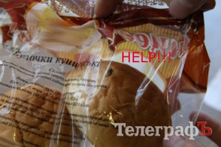 The Fly Returns: Кременчужанин купил в супермаркете упаковку булочек с живой мухой