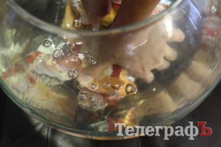 The Fly Returns: Кременчужанин купил в супермаркете упаковку булочек с живой мухой