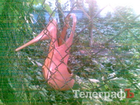 Приколы нашего городка: ЗО-ЛУ-ШКА-А-А-А!!!