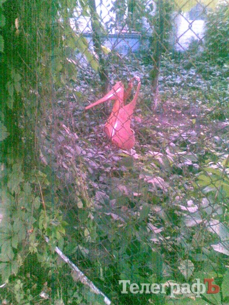 Приколы нашего городка: ЗО-ЛУ-ШКА-А-А-А!!!