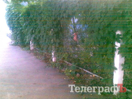 Приколы нашего городка: ЗО-ЛУ-ШКА-А-А-А!!!