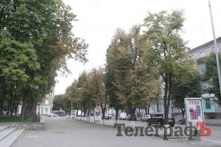 На улице Ленина в Кременчуге сохнут липы