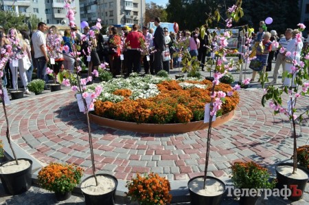 На День Кременчуга выставка цветов «переедет» с одной площади на другую