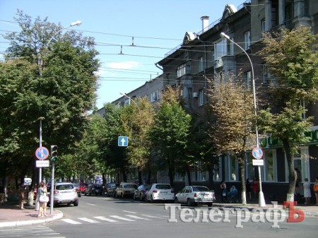 Липы на ул.Ленина в Кременчуге пытаются спасти, но уже думают посадить новые