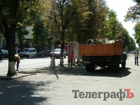 Липы на ул.Ленина в Кременчуге пытаются спасти, но уже думают посадить новые