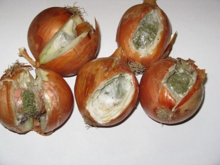 Фаршированный телефоном хлеб и лук, заправленный наркотиками, пытались доставить полтавским осужденным