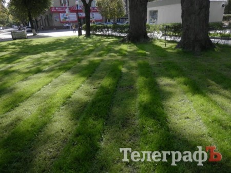 В Кременчуге появились полосатые газоны
