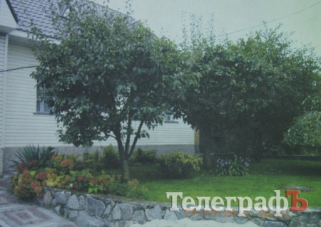 «Райские кущи» Автозаводского района Кременчуга