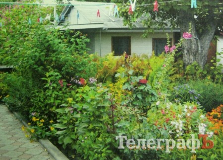 «Райские кущи» Автозаводского района Кременчуга