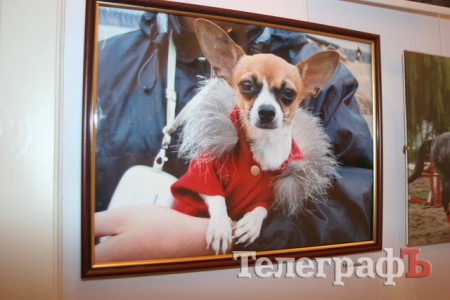 «С любовью в сердце»: фотовыставка Татьяны Кочуровой