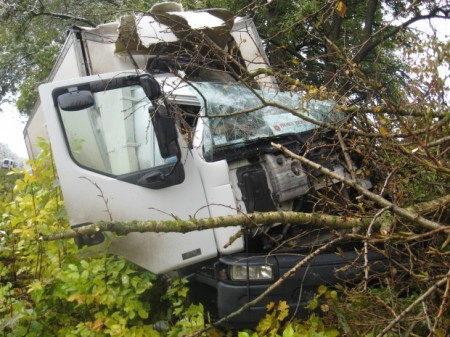 На Полтавщине грузовик врезался в дерево: погибли двое людей