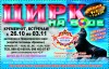 26 октября – 3 ноября. Цирк на воде в Кременчуге