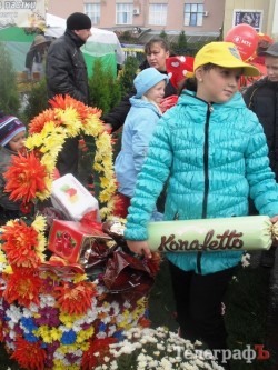 Победительницей кременчугского «Парада цветов-2013» стала цветочная корова