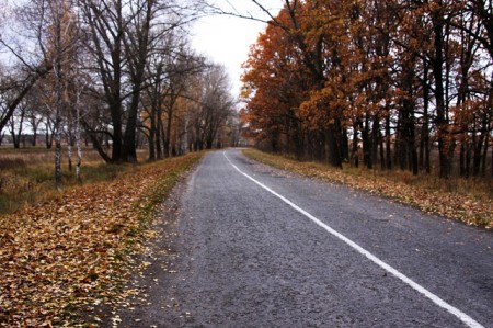 В Кременчуге на выходных будет тепло, но облачно