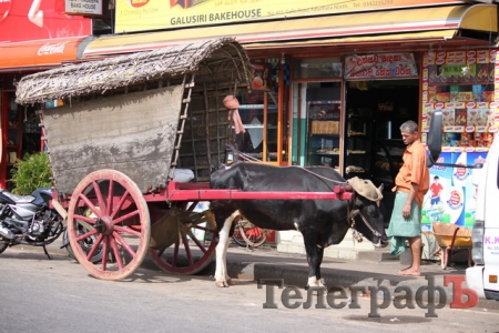 На Шри-Ланке украинцев считают богачами