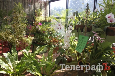 На Шри-Ланке украинцев считают богачами