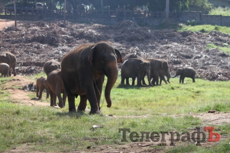 На Шри-Ланке украинцев считают богачами