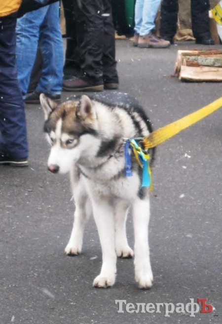 Блоги: І справа вже не в тому, чи підпишемо ми угоду про асоціацію, а про те, чи справді ми єдина нація