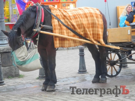 «Жизнь – это яркое путешествие!»