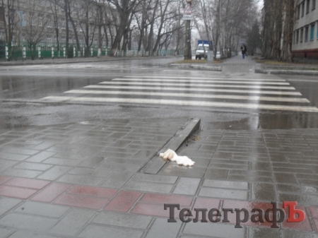 В Кременчуге произошла кровавая драка