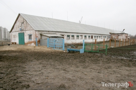 "Фавориту" в этом году новую конюшню не построят