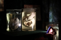 Двуглавый Паскуаль и грудь порноактрисы в Кременчуге