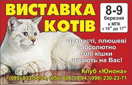 8 та 9 березня в Міському палаці культурі  відбудеться виставка котів
