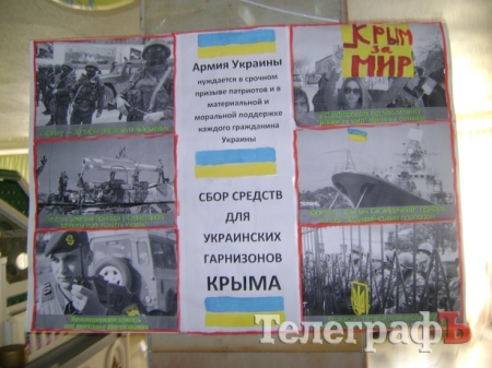 Владельцы кошек в Кременчуге поддержали украинских моряков