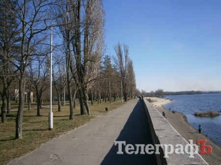 Тополя вдоль набережной Днепра в Приднепровском парке проредят