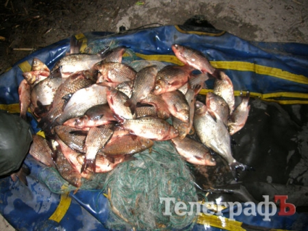 Кременчугская милиция поймала первого «нерестящегося» браконьера
