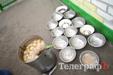 Собак в кременчугском приюте кормят один раз в день