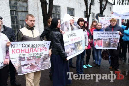«Гарифов – победитель собак» - зоозащитники пикетировали «Спецсервис-Кременчуг»