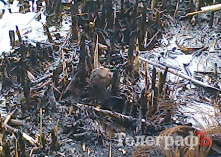 В Кременчуге возле водоперекачивающей станции обнаружили боеприпасы