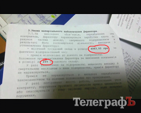 Гарифов за месяц «съедал» больше, чем за год все собаки в кременчугском приюте
