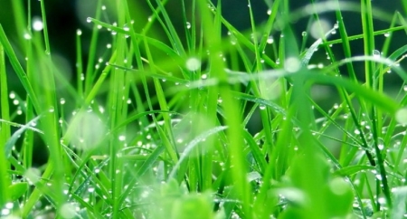 На Пасху в Кременчуге ожидается дождь