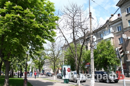 Центр Кременчуга засыхает