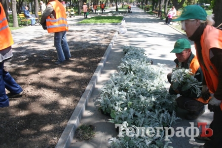 В Кременчуге на клумбах сквера Октябрьского сажают цветы