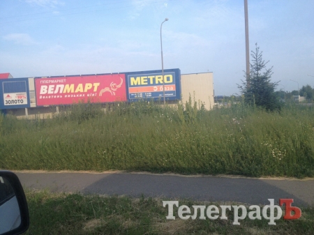Фотофакт: возле «Велмарта» в Кременчуге трава по пояс